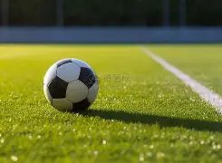 世界泳联新,规出炉,俄白选手将,亚博娱乐,亚博娱乐体育,YaBo,亚博娱乐体育官网