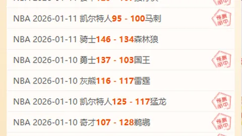 塞尔达传说：王国之泪佐纳乌秘书籍今秋英文版发布